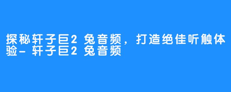探秘轩子巨2兔音频,打造绝佳听触体验-轩子巨2兔音频
