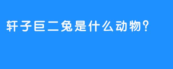 轩子巨二兔是什么动物？