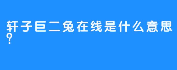 轩子巨二兔在线是什么意思？