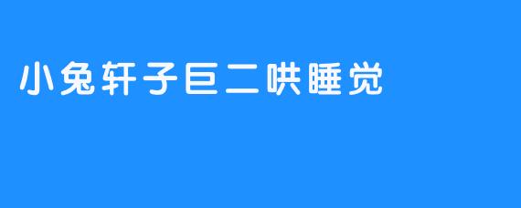 小兔轩子巨二哄睡觉