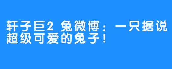 轩子巨2兔微博:一只据说超级可爱的兔子!