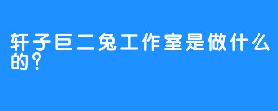 轩子巨二兔工作室是做什么的？