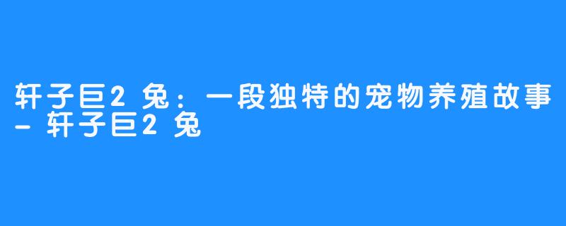 轩子巨2兔:一段独特的宠物养殖故事-轩子巨2兔