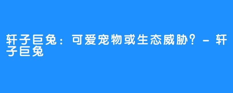 轩子巨兔:可爱宠物或生态威胁?-轩子巨兔
