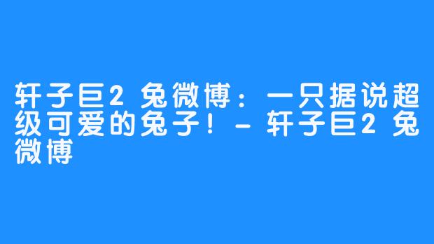 轩子巨2兔微博:一只据说超级可爱的兔子!-轩子巨2兔微博