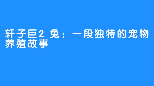 轩子巨2兔:一段独特的宠物养殖故事