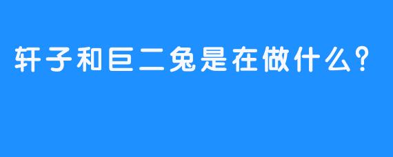 轩子和巨二兔是在做什么？