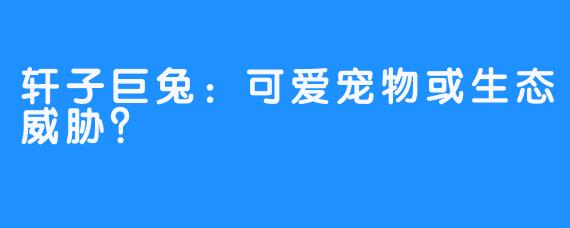 轩子巨兔:可爱宠物或生态威胁?