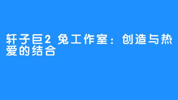 轩子巨2兔工作室：创造与热爱的结合
