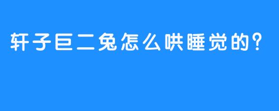 轩子巨二兔怎么哄睡觉的？