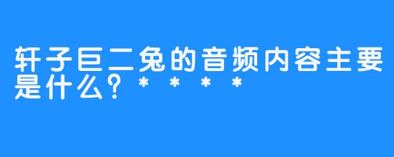 轩子巨二兔的音频内容主要是什么？****