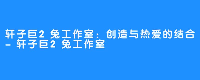 轩子巨2兔工作室：创造与热爱的结合-轩子巨2兔工作室