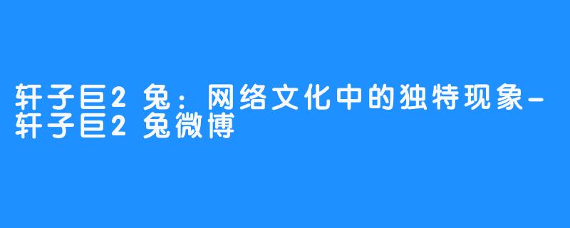 轩子巨2兔:网络文化中的独特现象-轩子巨2兔微博