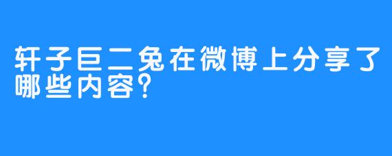 轩子巨二兔在微博上分享了哪些内容？
