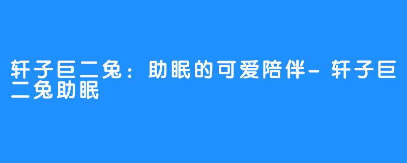 轩子巨二兔:助眠的可爱陪伴-轩子巨二兔助眠