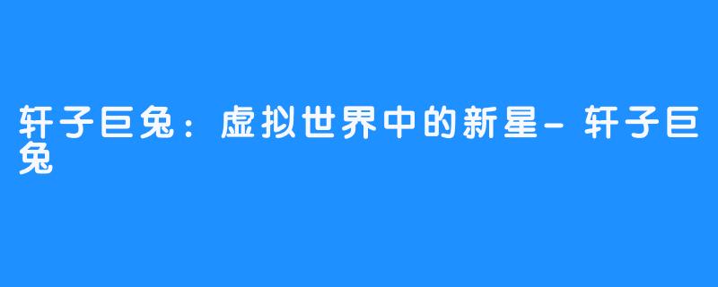 轩子巨兔:虚拟世界中的新星-轩子巨兔