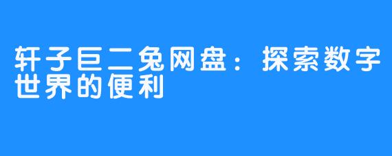 轩子巨二兔网盘:探索数字世界的便利