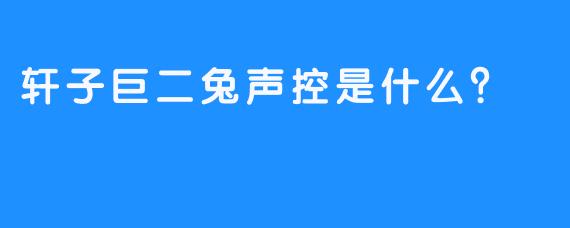 轩子巨二兔声控是什么？  