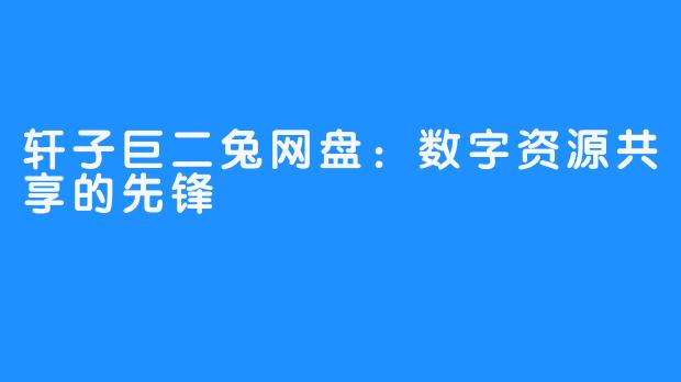 轩子巨二兔网盘:数字资源共享的先锋