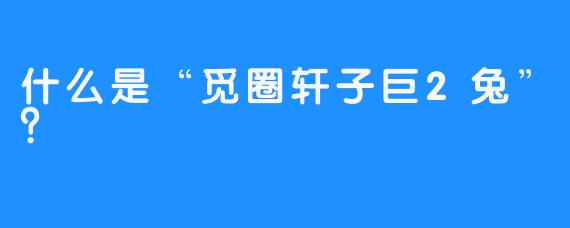什么是“觅圈轩子巨2兔”?