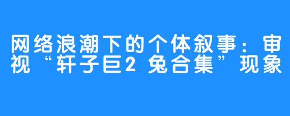 网络浪潮下的个体叙事:审视“轩子巨2兔合集”现象