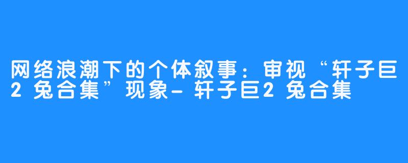 网络浪潮下的个体叙事:审视“轩子巨2兔合集”现象-轩子巨2兔合集