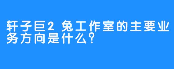 轩子巨2兔工作室的主要业务方向是什么？