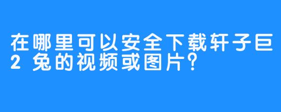 在哪里可以安全下载轩子巨2兔的视频或图片？