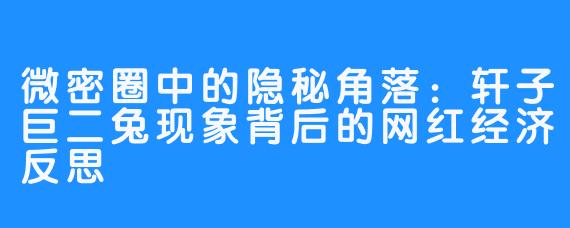 微密圈中的隐秘角落：轩子巨二兔现象背后的网红经济反思