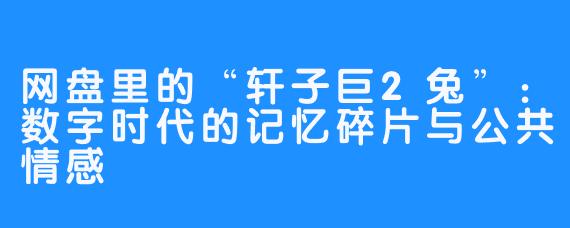 网盘里的“轩子巨2兔”:数字时代的记忆碎片与公共情感