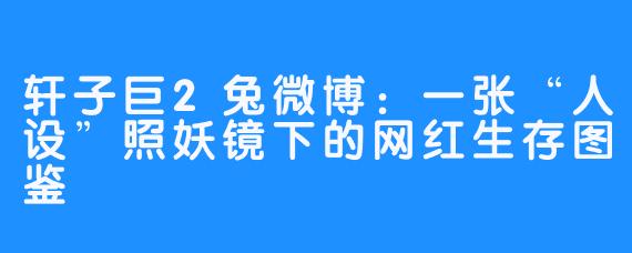 轩子巨2兔微博：一张“人设”照妖镜下的网红生存图鉴