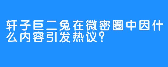 轩子巨二兔在微密圈中因什么内容引发热议？