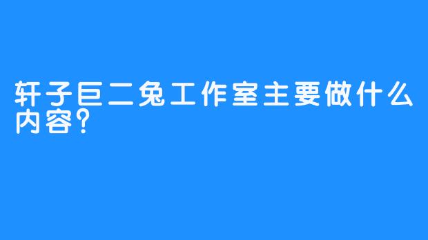 轩子巨二兔工作室主要做什么内容？