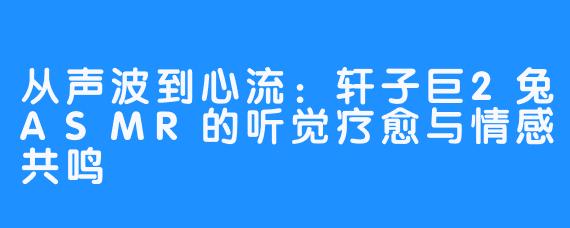 从声波到心流:轩子巨2兔ASMR的听觉疗愈与情感共鸣
