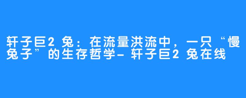 轩子巨2兔:在流量洪流中,一只“慢兔子”的生存哲学-轩子巨2兔在线