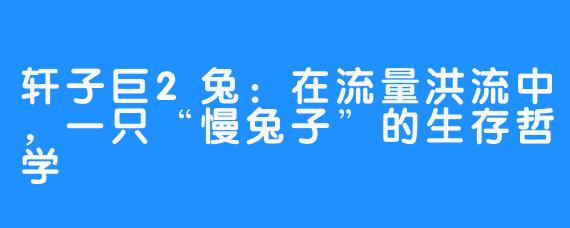 轩子巨2兔:在流量洪流中,一只“慢兔子”的生存哲学